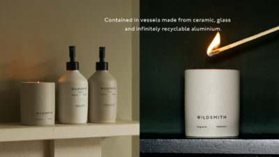 Wildsmith guide digital assets6