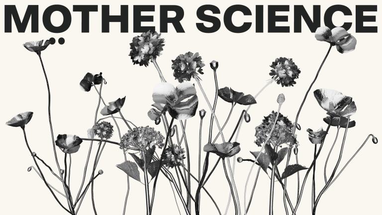 230503 Mother Science Cover Render6