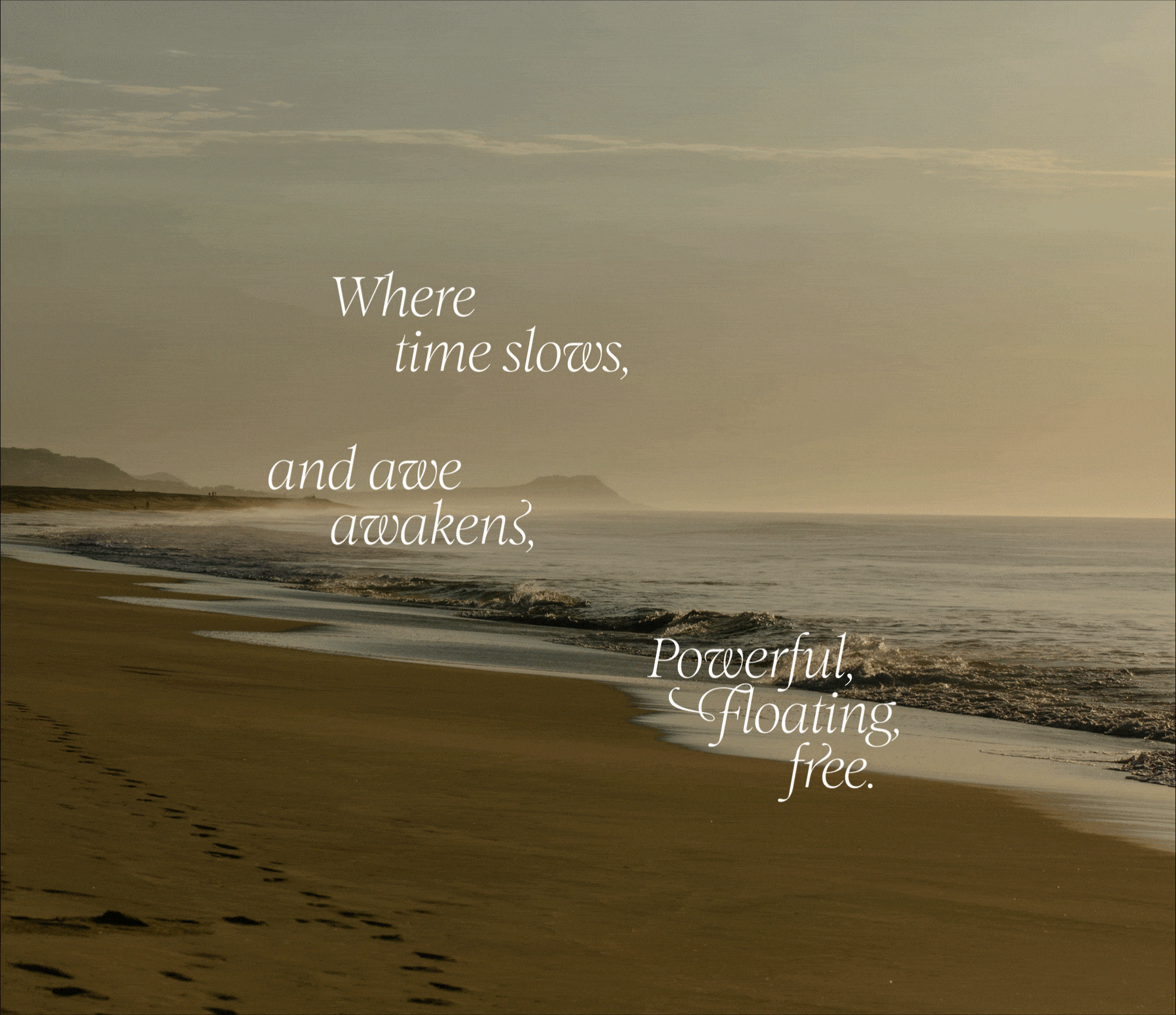 Language Gif 2