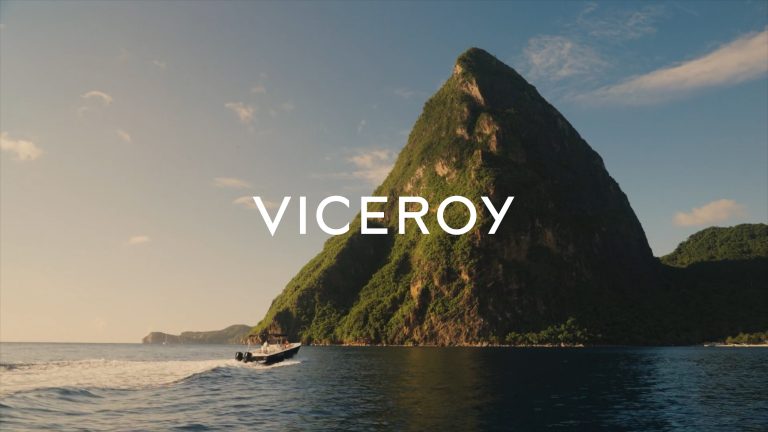 MADE THOUGHT VICEROY COVER 1 V01