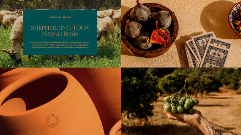 Viceroy CS Web 27