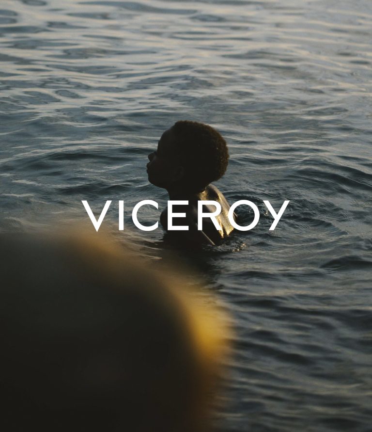 Cover V
