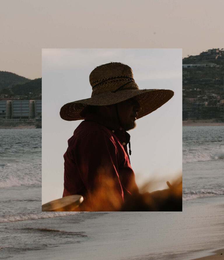Viceroy CS Web 16